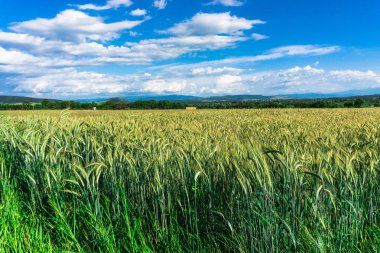 Bulutlu gökyüzü arka plan şaşırtıcı doğa manzaralı