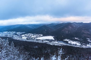Kabarık kar ve ağaçlarla kaplı inanılmaz dağ manzarası