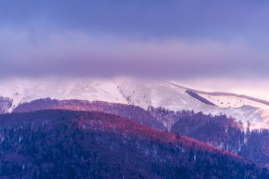 Karlı ağaçlar şaşırtıcı Doğa Manzaralı