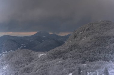Yüksek ağaçlar ile Amazing dağ manzarası