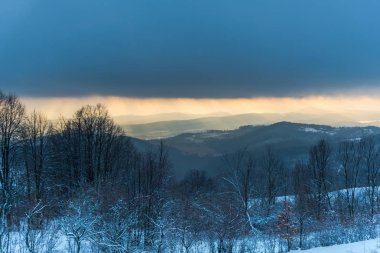 Karlı ağaçlar şaşırtıcı Doğa Manzaralı