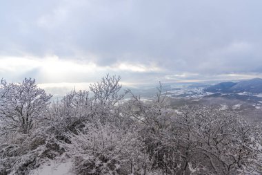 Karlı ağaçlar şaşırtıcı Doğa Manzaralı