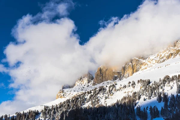 Vue Imprenable Sur Nature Avec Des Arbres Enneigés — Photo