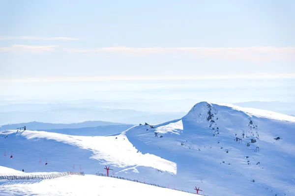 Kabarık Kar Ağaçlarla Kaplı Inanılmaz Dağ Manzarası — Stok fotoğraf