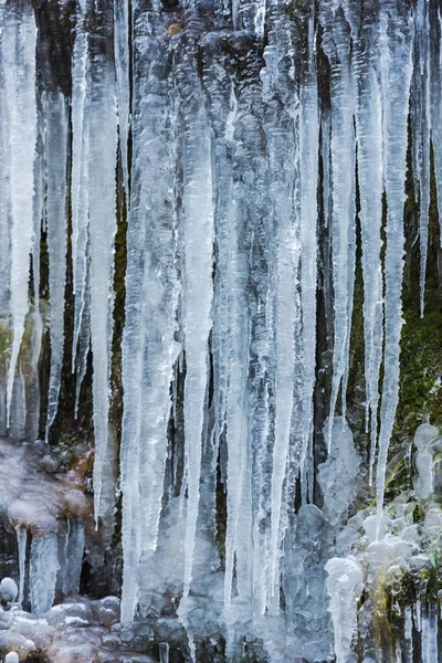 Огромные Холодные Сосульки Фоне Природы — стоковое фото