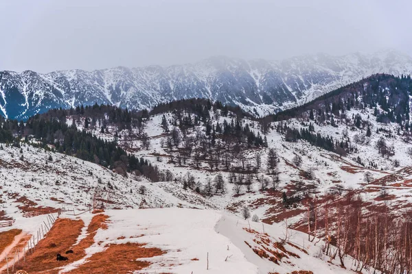 Kabarık karla kaplı dağ manzaralı şaşırtıcı