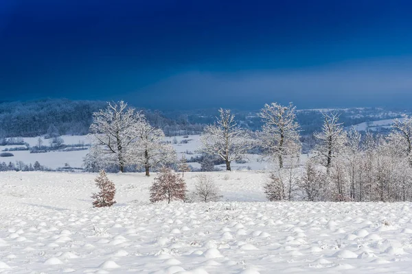 Karlı ağaçlar şaşırtıcı Doğa Manzaralı