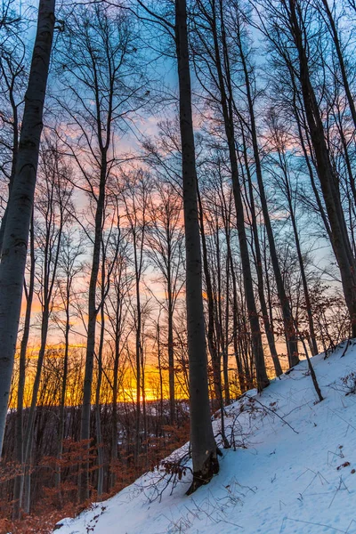 güzel gündoğumu doğa manzaralı 