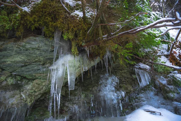 Величезні Холодні Бурульки Фоні Природи — стокове фото