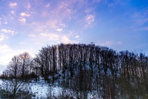 Incredibile Vista Sulla Natura Con Alberi Sfondo Cielo Blu — Foto Stock