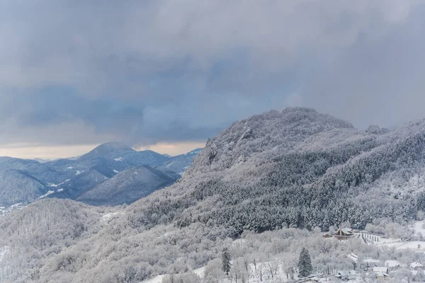 Increíble Vista Naturaleza Con Árboles Nevados — Foto de Stock