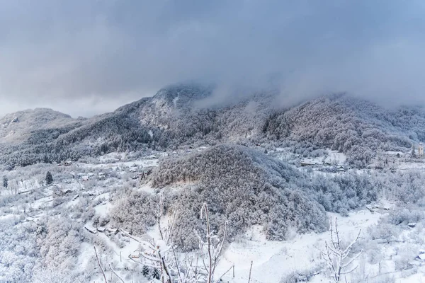 Atemberaubende Aussicht Auf Die Natur Mit Schneebedeckten Bäumen — Stockfoto