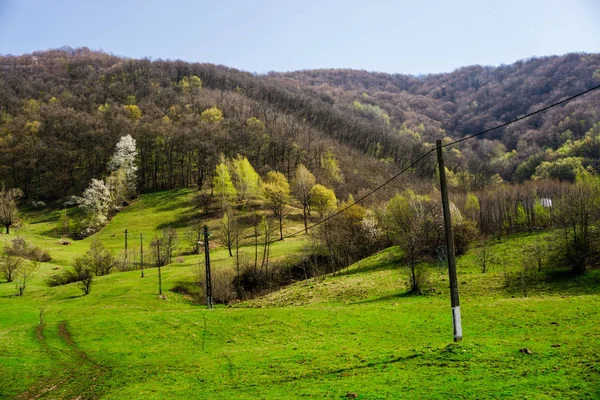 Faszinierende Natur Bergblick Mit Viel Grün — Stockfoto