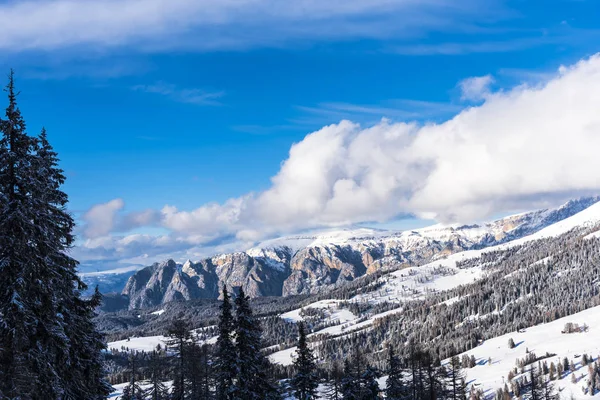 Karlı ağaçlar şaşırtıcı Doğa Manzaralı