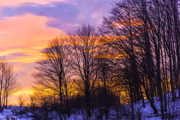 Красивий Хмарний Пейзаж Заходу Сонця Фіолетовими Хмарами — стокове фото