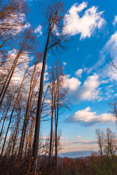 Atemberaubende Aussicht Auf Die Natur Mit Bewölktem Himmel Hintergrund — Stockfoto