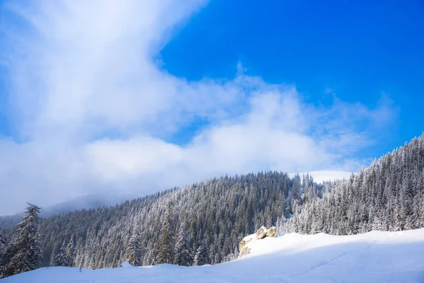 Increíble Vista Naturaleza Con Árboles Nevados — Foto de Stock