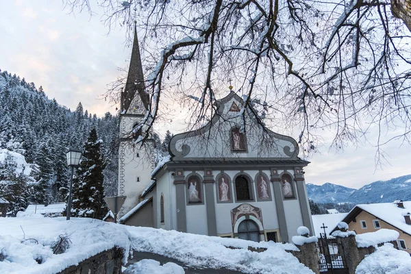 Karla kaplı ağaçlarla kaplı kış manzarası