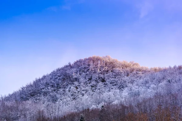 Ağaçlar ve mavi gökyüzü arka plan şaşırtıcı Doğa Manzaralı