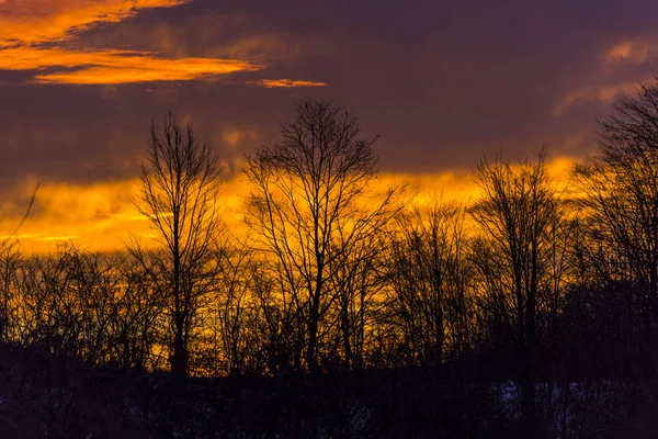Zachód Słońca Niebo Pochmurne Nagie Drzewa — Zdjęcie stockowe