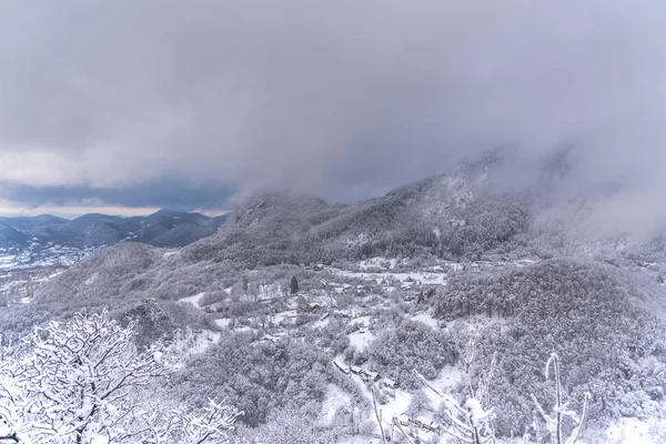 雪に覆われた木々 の素晴らしい自然の風景 — ストック写真