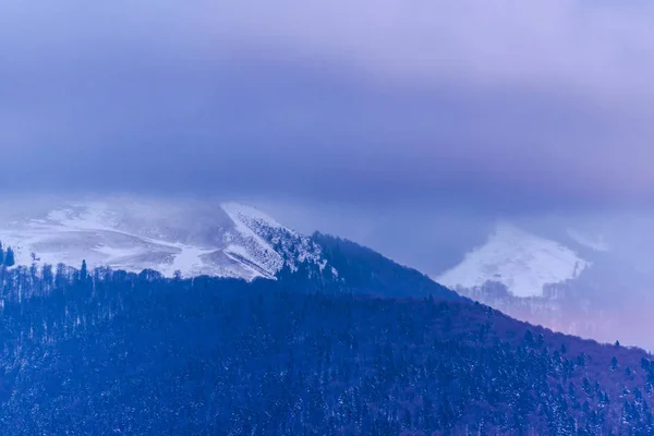 Дивовижний Вид Природу Сніговими Деревами — стокове фото