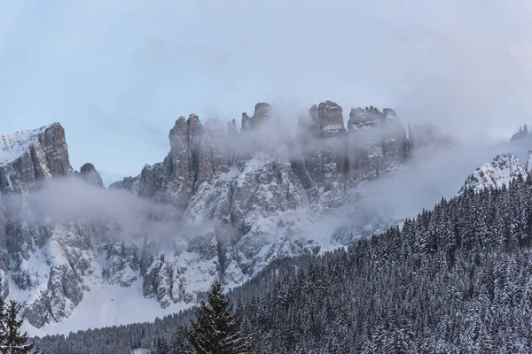 Úžasný Pohled Přírody Borovicemi Zamračená Obloha Pozadí — Stock fotografie