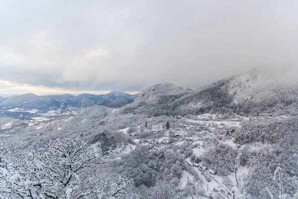 Atemberaubende Aussicht Auf Die Natur Mit Schneebedeckten Bäumen — Stockfoto