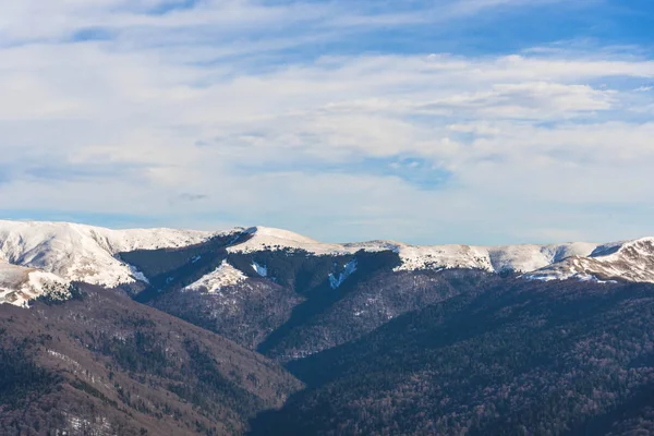 Incredibile Vista Sulle Montagne Coperta Neve Soffice Alberi — Foto Stock