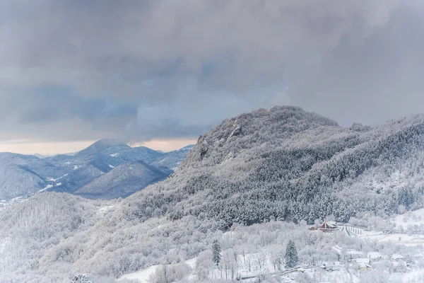 Vue Imprenable Sur Nature Avec Des Arbres Enneigés — Photo