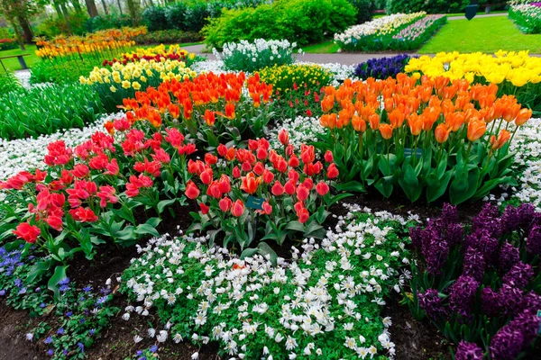 Zár Megjelöl Csodálatos Pályázat Virágzó Virágok — Stock Fotó