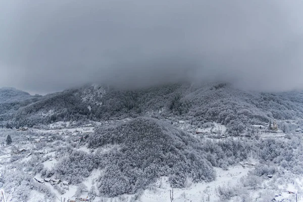 Atemberaubende Aussicht Auf Die Natur Mit Schneebedeckten Bäumen — Stockfoto