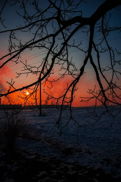 Red Sunset Sky Tree Branches Foreground — Stock Photo, Image