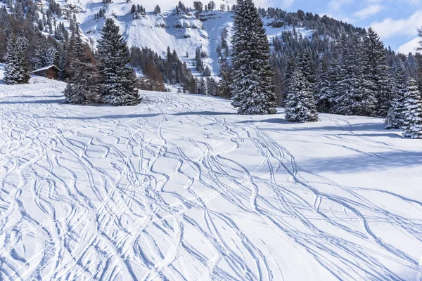 Increíble Vista Naturaleza Con Árboles Nevados —  Fotos de Stock