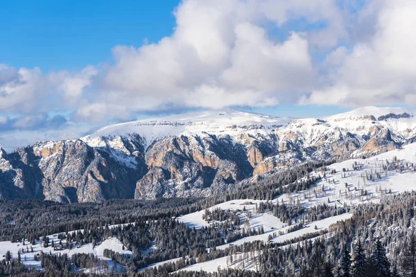 Vue Imprenable Sur Nature Avec Des Arbres Enneigés — Photo