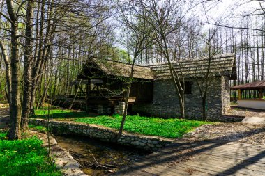 ağaçlar ile güzel park 