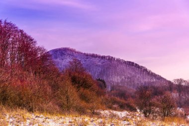 Renkli ağaçlarla dolu güzel sonbahar manzarası