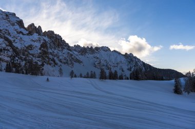 Karlı ağaçlar şaşırtıcı Doğa Manzaralı