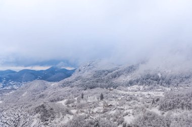 Karlı ağaçlar şaşırtıcı Doğa Manzaralı