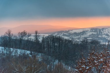 Karlı ağaçlar şaşırtıcı Doğa Manzaralı