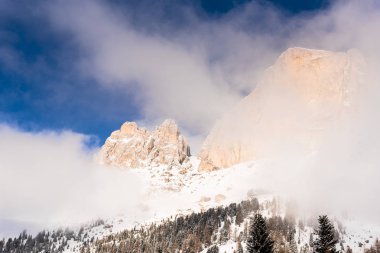 Karlı ağaçlar şaşırtıcı Doğa Manzaralı