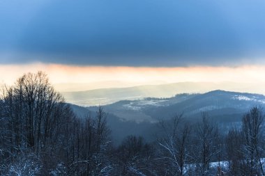 Karlı ağaçlar şaşırtıcı Doğa Manzaralı