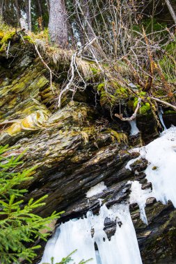 Doğa arka plan üzerinde büyük soğuk buz sarkıtları