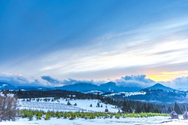 Yüksek ağaçlar ile Amazing dağ manzarası