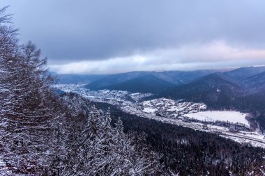 Karlı ağaçlar şaşırtıcı Doğa Manzaralı