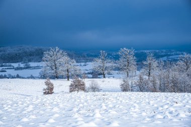 Karlı ağaçlar şaşırtıcı Doğa Manzaralı