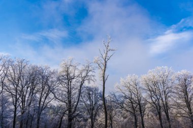 Bulutlu gökyüzü arka plan şaşırtıcı doğa manzaralı