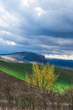 Bulutlu gökyüzü arka plan şaşırtıcı doğa manzaralı
