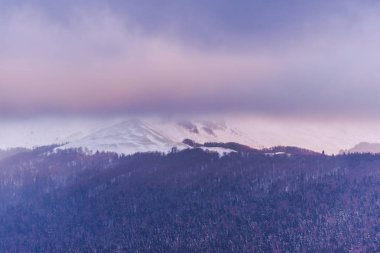 Karlı ağaçlar şaşırtıcı Doğa Manzaralı
