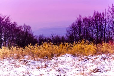 Karlı ağaçlar şaşırtıcı Doğa Manzaralı